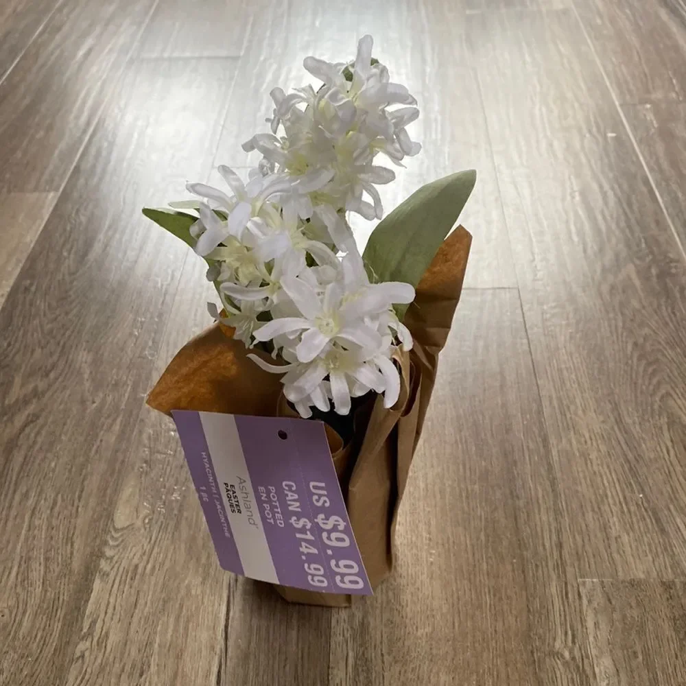 🌼10/$25 +BULK Sale | Bundle 10 items $7-$9 & Save! Otherwise priced as marked!